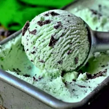 Homemade mint chocolate chip ice cream made with fresh ingredients
