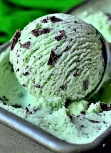 Homemade mint chocolate chip ice cream made with fresh ingredients