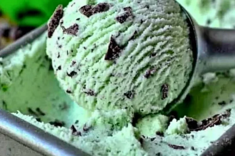 Homemade mint chocolate chip ice cream made with fresh ingredients
