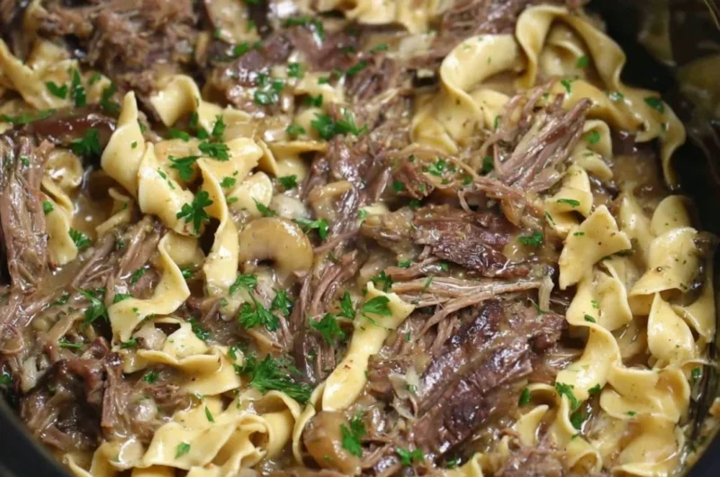 Crock Pot Beef and Noodles, a hearty one-pot family meal